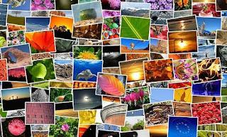 Create photo and image collages: best programs and web apps