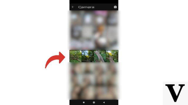 ¿Cómo cambiar tu foto de perfil en Signal?