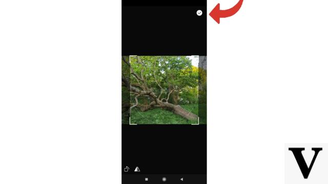 ¿Cómo cambiar tu foto de perfil en Signal?