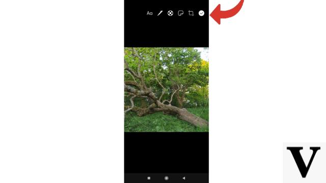 ¿Cómo cambiar tu foto de perfil en Signal?