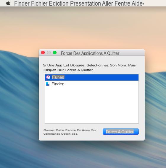 Mac: how to force quit an application?
