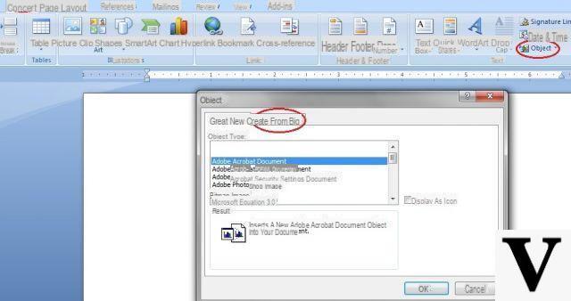 How to Insert PDF into Word (as attachment) -