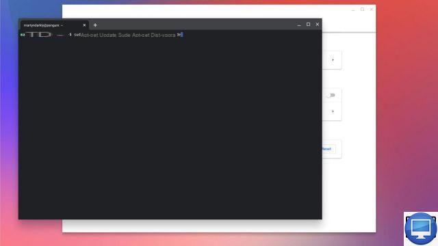 Como instalar e usar o Linux em um Chromebook?