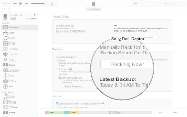 Cómo restaurar el iPhone desde la copia de seguridad [Guía completa] | iphonexpertise - Sitio oficial