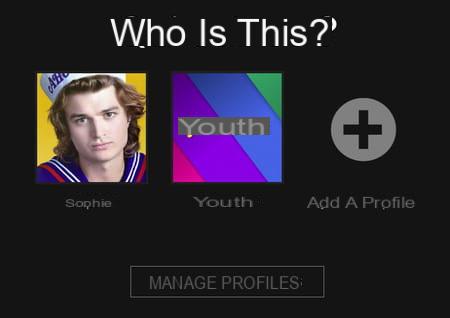 Netflix user profile: create, modify, delete