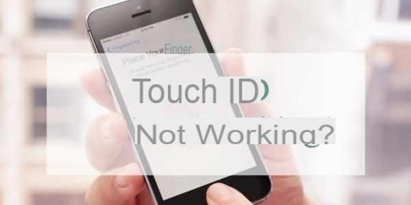 Touch ID Doesn't Work on iPhone. How to solve? | iphonexpertise - Official Site