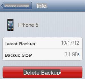 Permanently Delete Photos from iCloud -