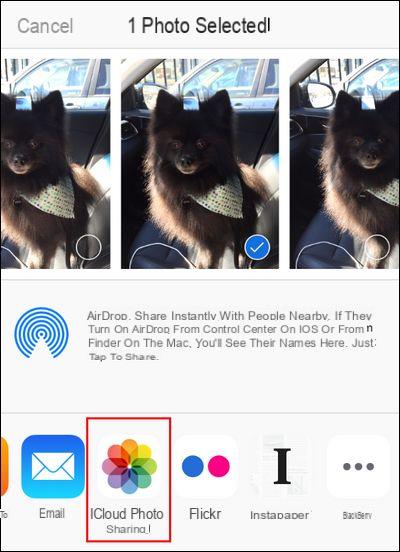 Crear álbum de fotos compartido en iPhone -