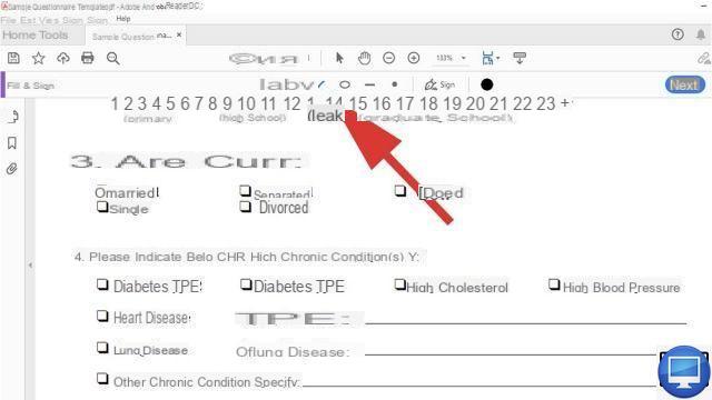 Como marcar uma caixa em um documento PDF?