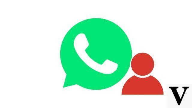 How to add a contact on WhatsApp?