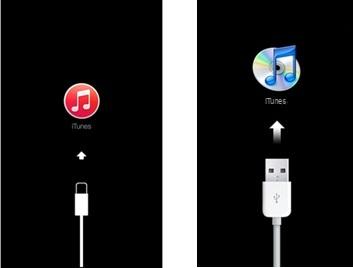 ¿iPhone con el logotipo de Apple parpadeando? Aquí está la solución | iphonexpertise - Sitio oficial