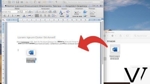 How to insert picture in Word document?