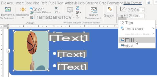 Faça um organograma com o Word