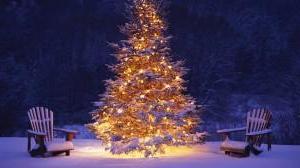 Free Christmas Photos and Wallpapers for Download -