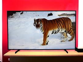 Rebajas: Televisores OLED y LCD, aquí tienes las mejores promociones de la última rebaja
