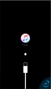 iPhone Disabled? How to solve | iphonexpertise - Official Site