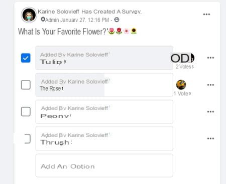 Facebook poll: how to easily create it