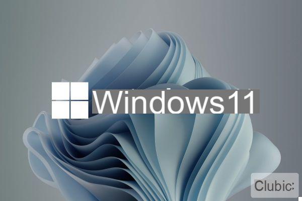 Windows 11: you can easily install Linux through ... the Microsoft Store