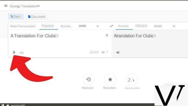 How to translate a voice input with Google Translate?