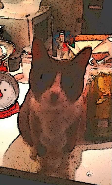 Turn your photos into drawings with Cartoon Camera